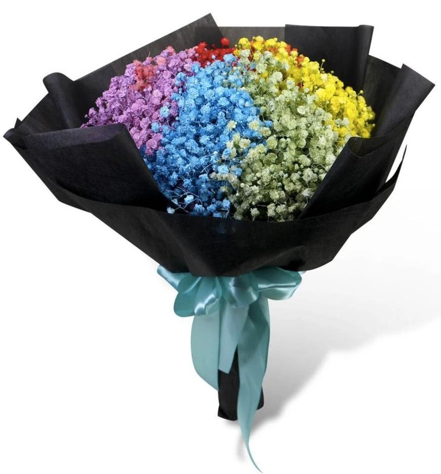 Rainbow Baby's Breath product1461
